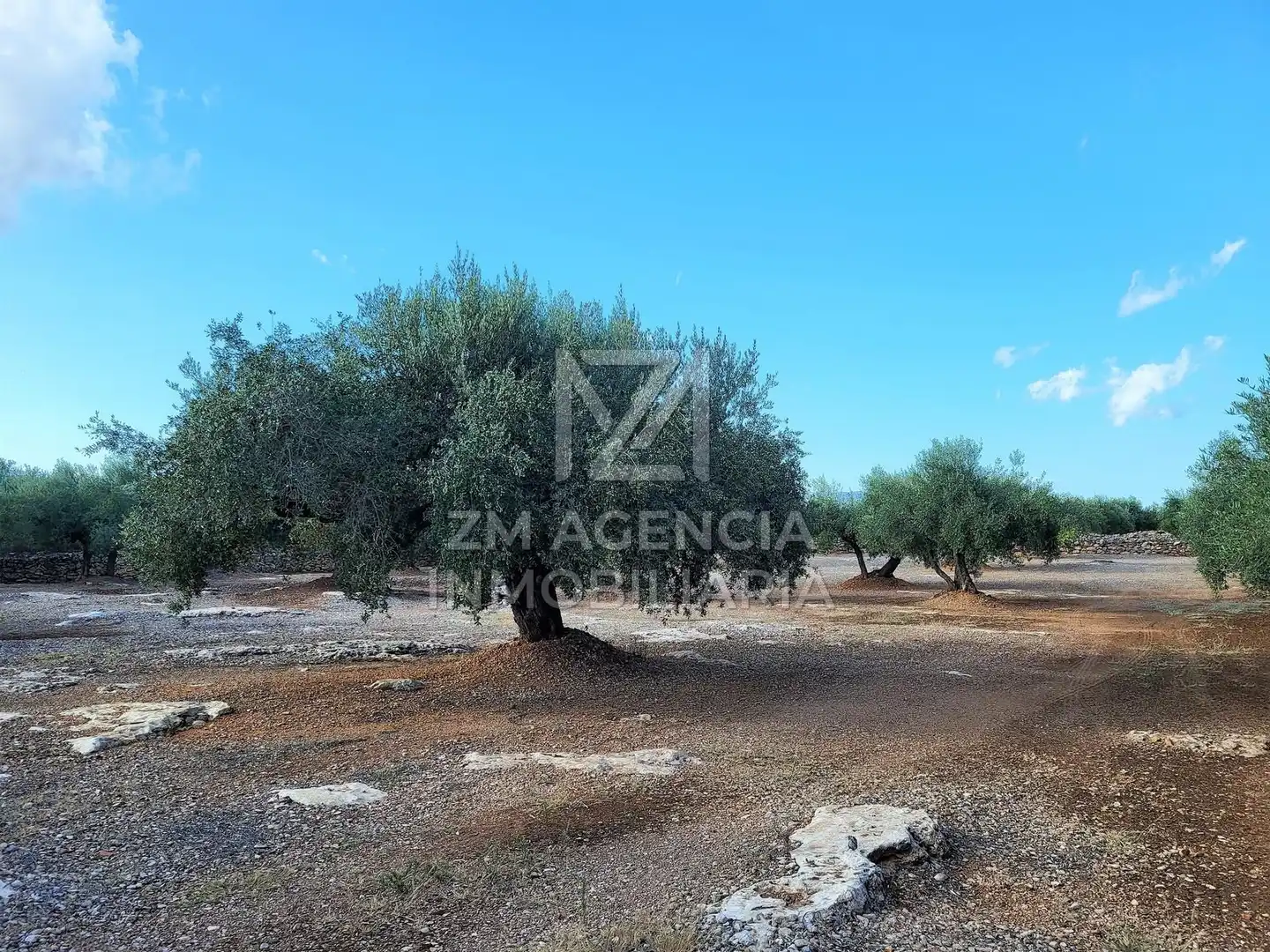 Country house for sale in Rossell, imagen 8