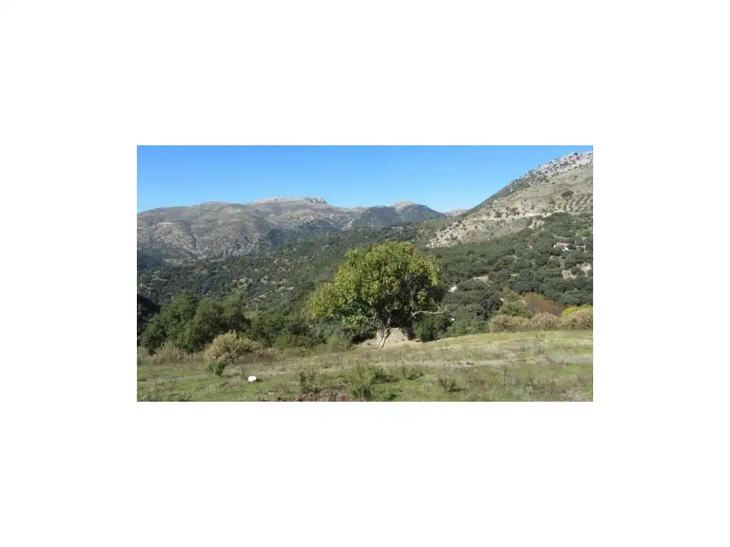 Houses for sale in Alpandeire