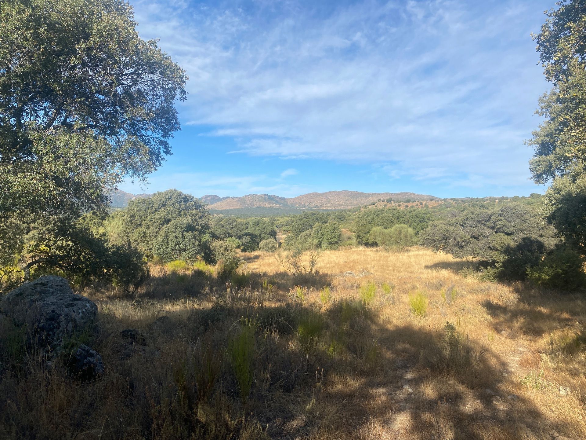 Land for sale in Navalagamella