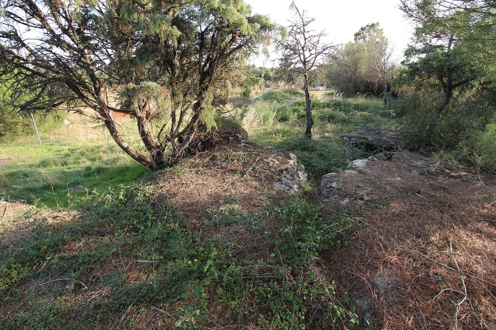 Residencial en venta en El Berrueco