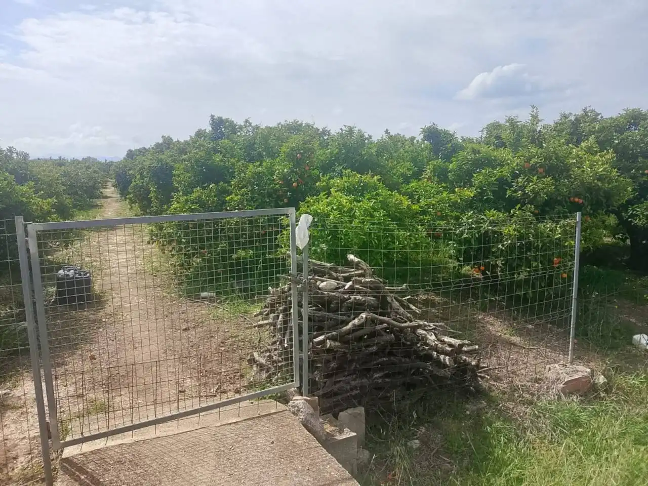 Land for sale in Guardamar de la Safor