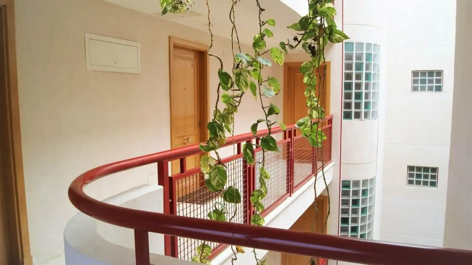 Terrassa de Àtic de lloguer en Alicante / Alacant amb Jardí privat, Terrassa i Moblat