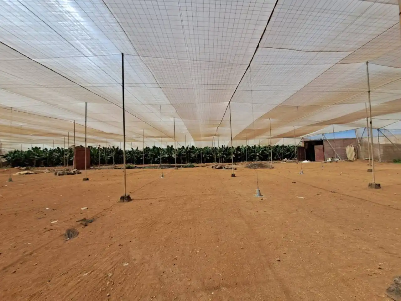 Rural land for sale in Cruce de Arinaga, imagen 20