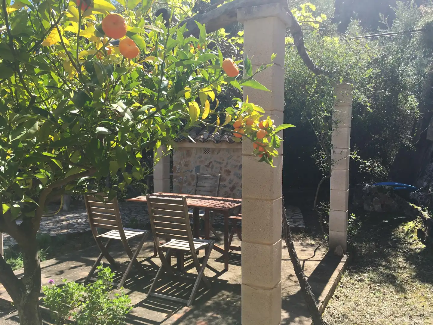 Jardín de Finca rústica en venta en Banyalbufar con Jardín privado, Terraza y Horno