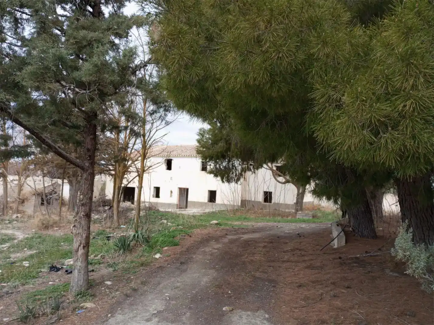 Vista exterior de Casa o chalet en venta en Baza