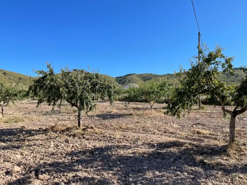 Finca rústica en venda en Pedanías Oeste
