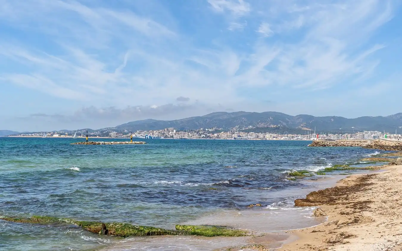 Terreni e lotti in vendita a Platja de Palma, imagen 8