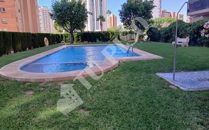 Piscina de Pis en venda en Benidorm amb Aire condicionat