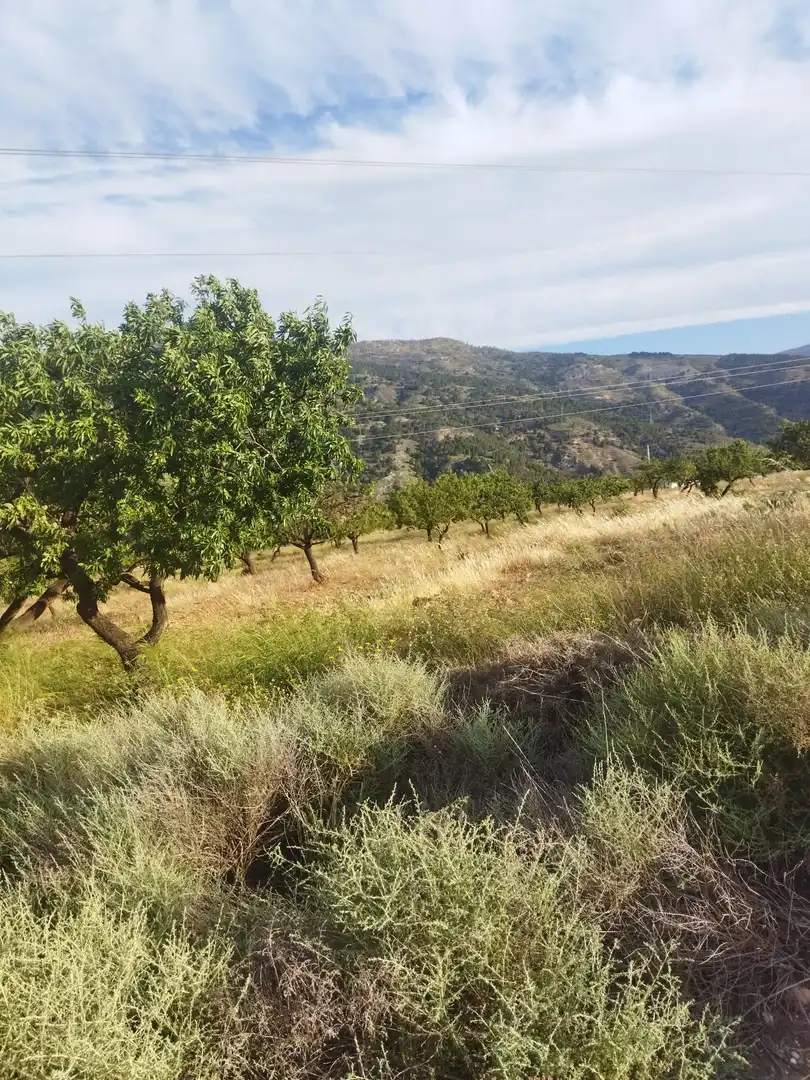 Terreni e lotti in vendita a Motril  ciudad