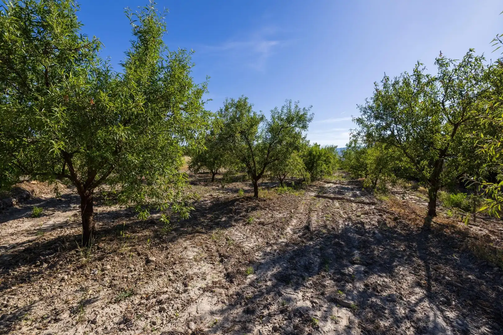 Rural land for sale in Dúrcal, imagen 7
