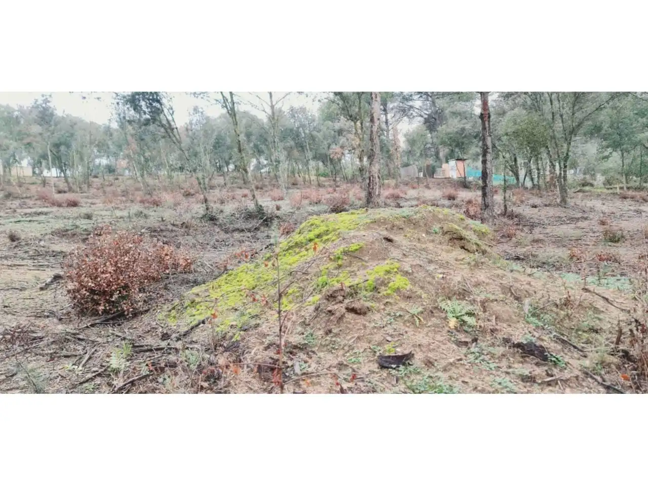 Rural land for sale in Lliçà d'Amunt, imagen 116