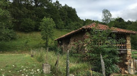 FINCA RÚSTICA CON CUADRA DE PIEDRA CERCA DE CANGAS DE ONIS, immagine 5