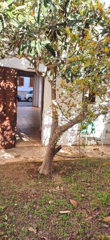 Planta baja en Venta en Son Cotoner