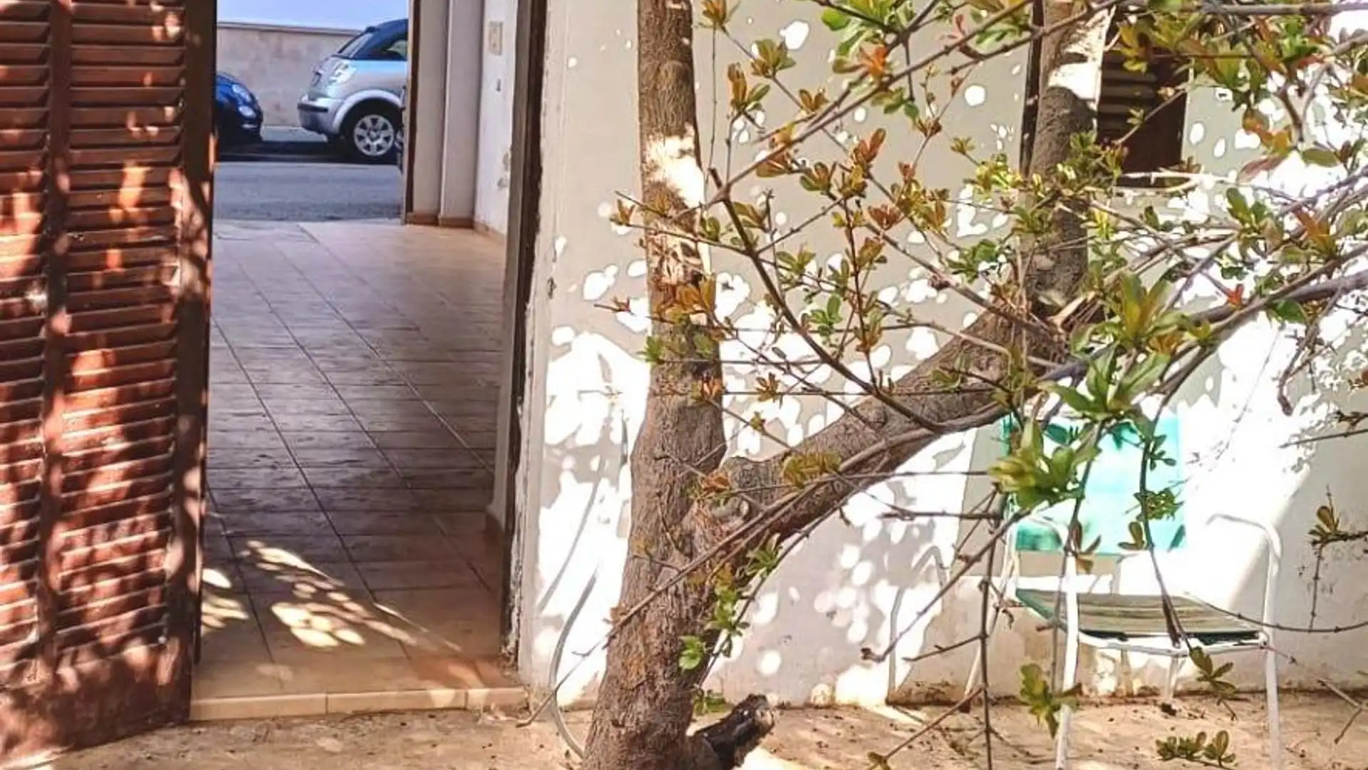 Exterior view of Planta baja for sale in  Palma de Mallorca  with Private garden, Terrace and Storage room