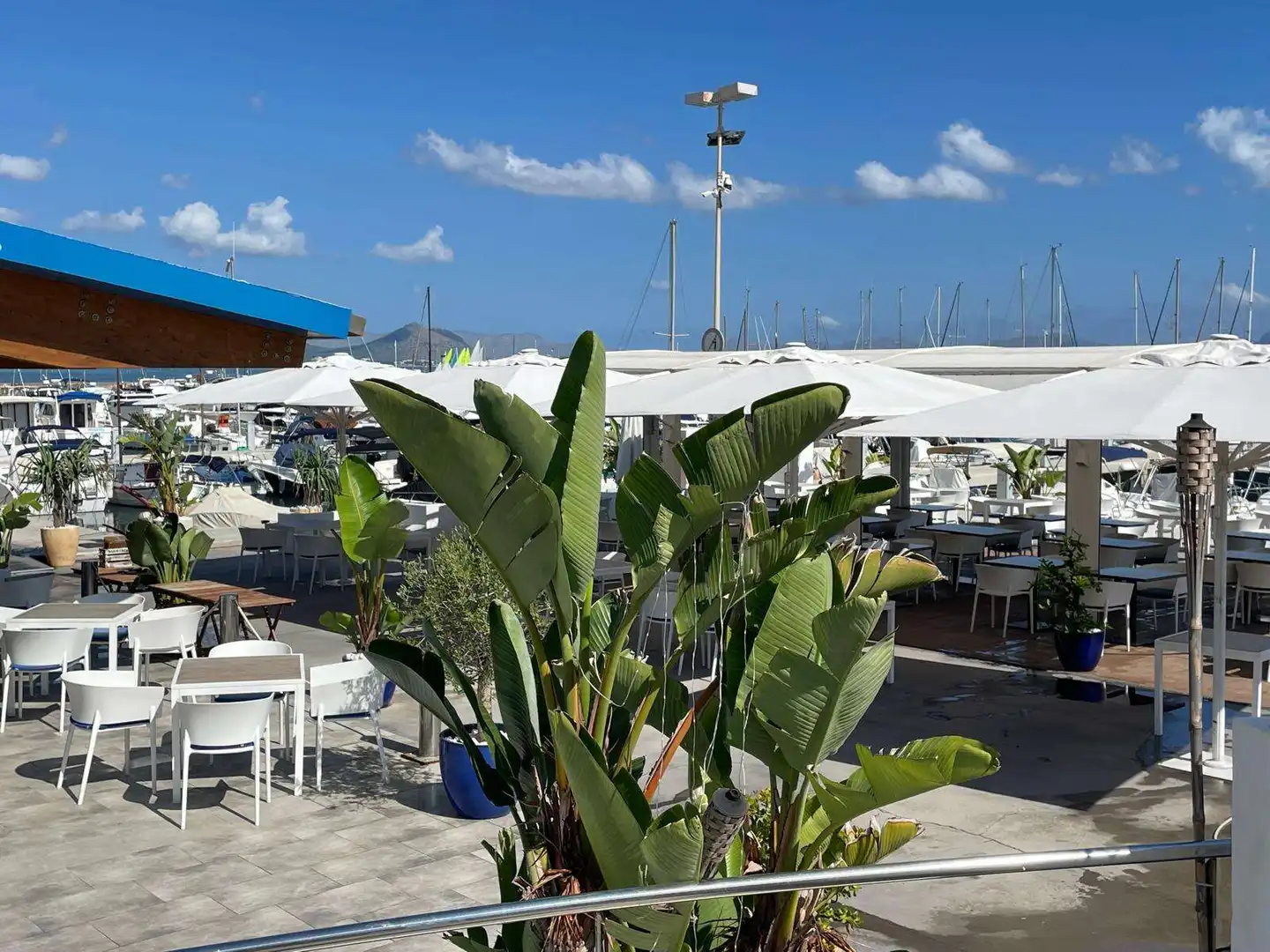 Casa rústica con terraza en venta en Santa Margalida Poble, imagen 65