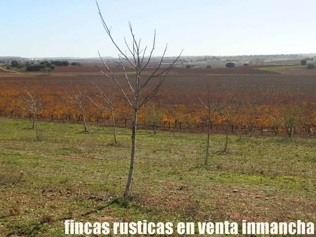 Terreni e lotti in vendita a Montalbo, imagen 18