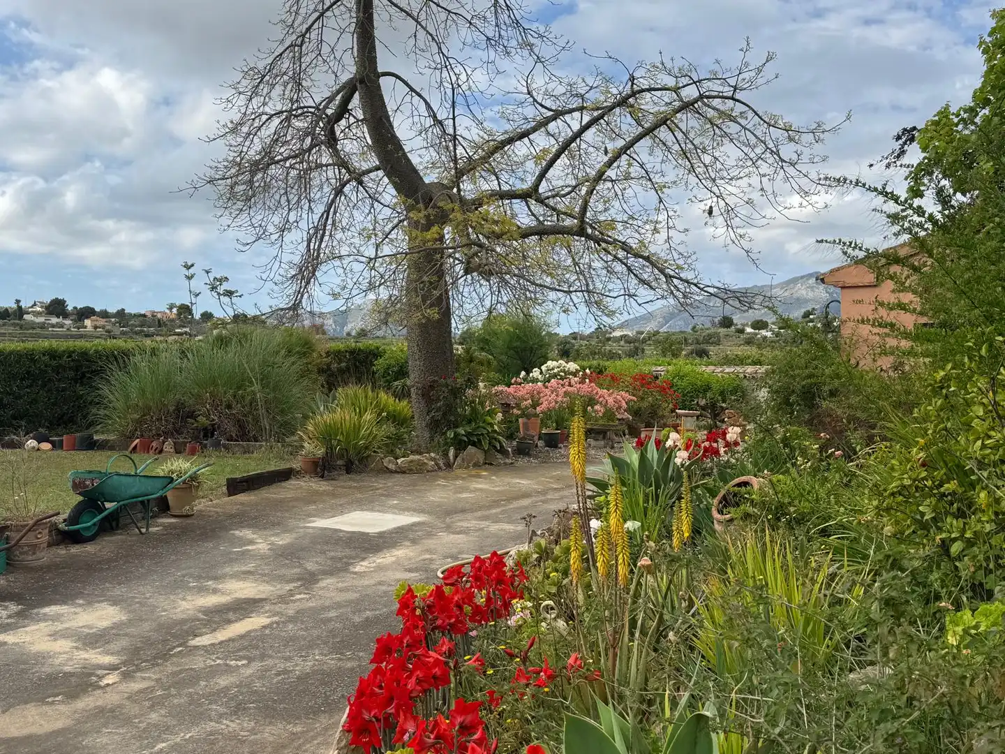 Casa rústica con piscina en venta en Benissa pueblo, imagen 50