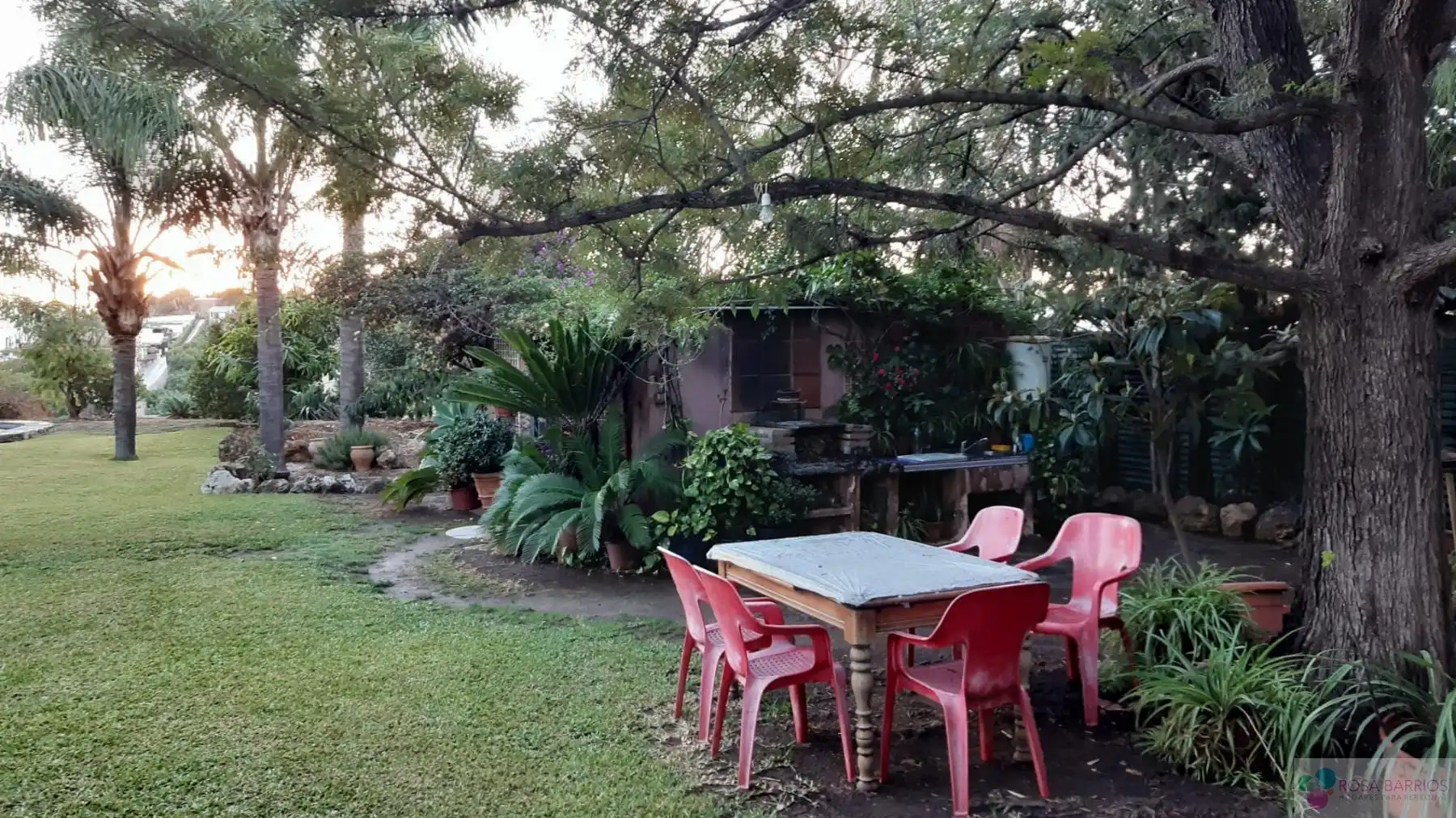 Terreni e lotti in vendita a San Pedro de Alcántara, imagen 6