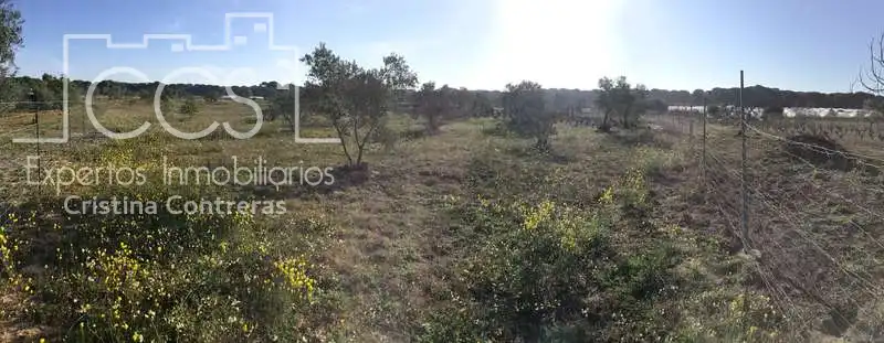 Finca rústica en venta en Almonte