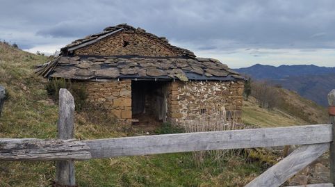 Immagine 1 dell'annuncio