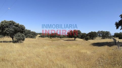 Finca de 18600 m2 poblada de encinas situada a 700 m del casco urbano de Millanes y a 60 m de la carretera Millanes, Cáceres