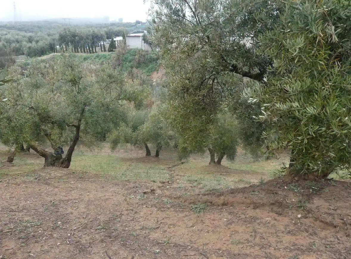 Terreni e lotti in vendita a Peligros, imagen 24