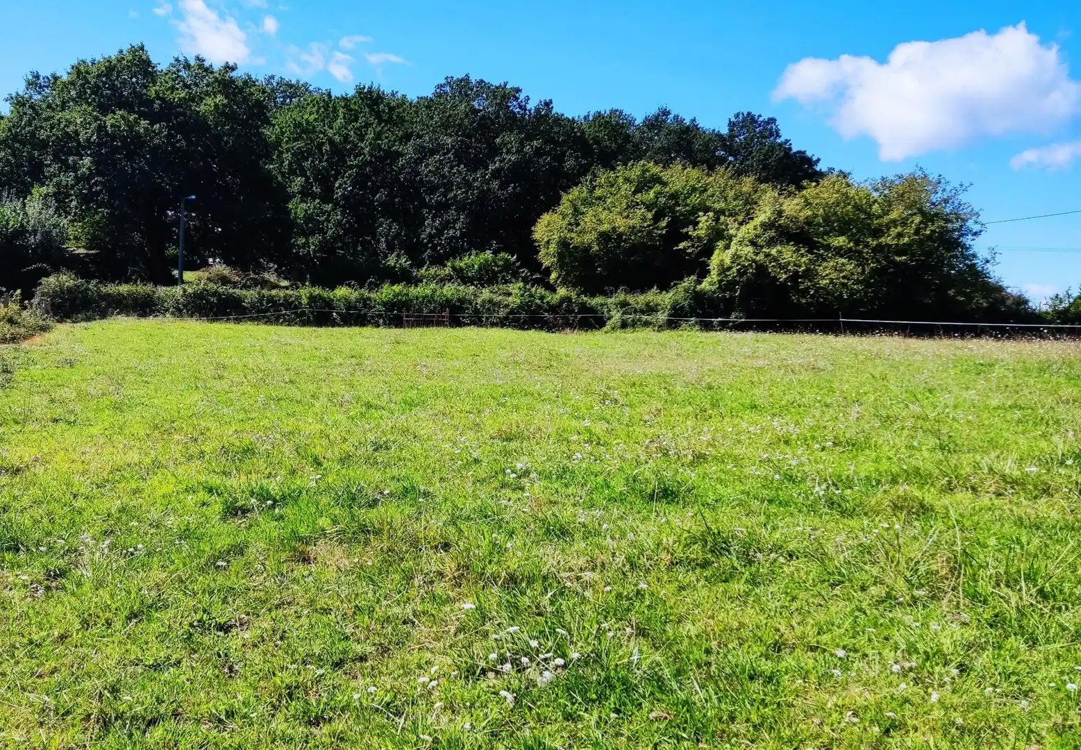 Residential land for sale in Parroquias Norte, imagen 5
