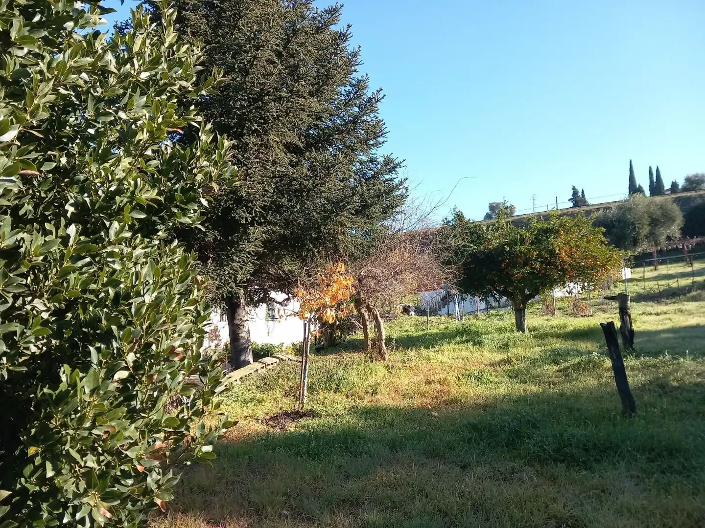 Finca rústica en venda a Partidas Norte