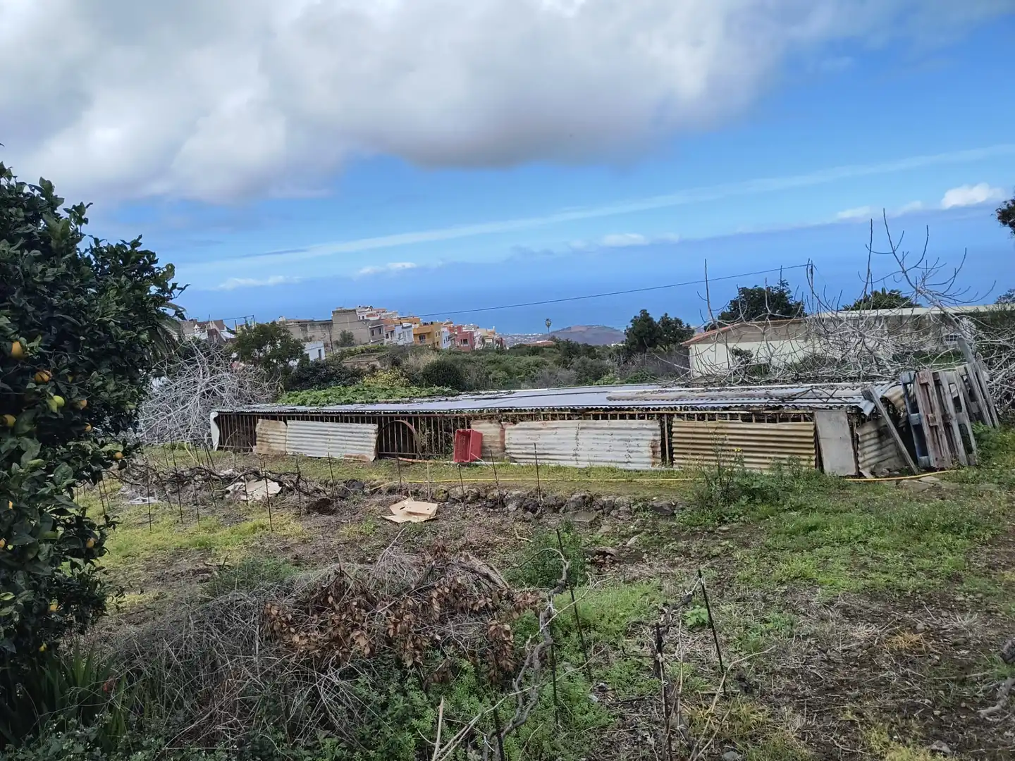 Houses for sale in La Orotava  with Private garden, Terrace and Storage room