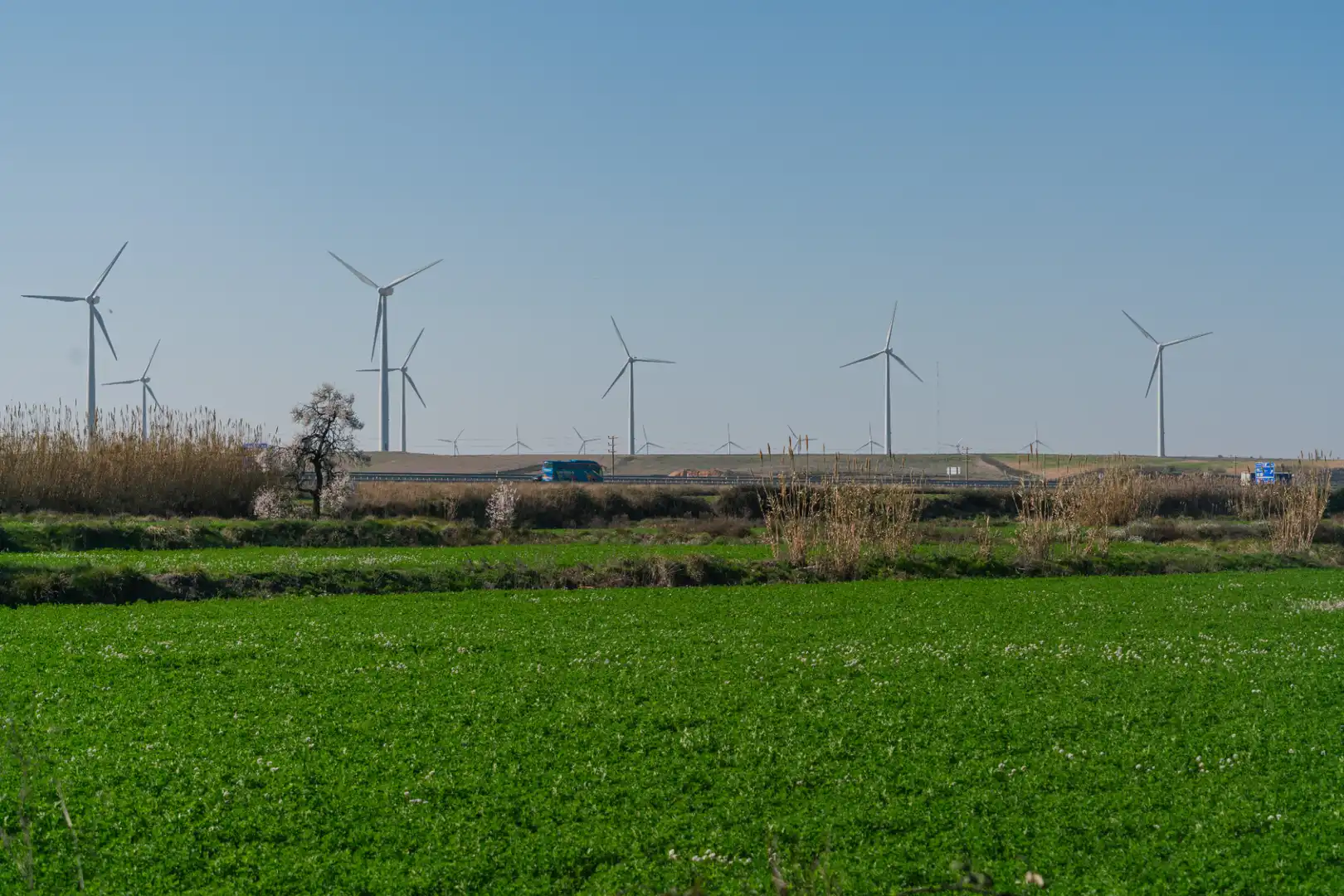 Vista exterior de Finca rústica en venda en Pedrola amb Jardí privat, Terrassa i Moblat