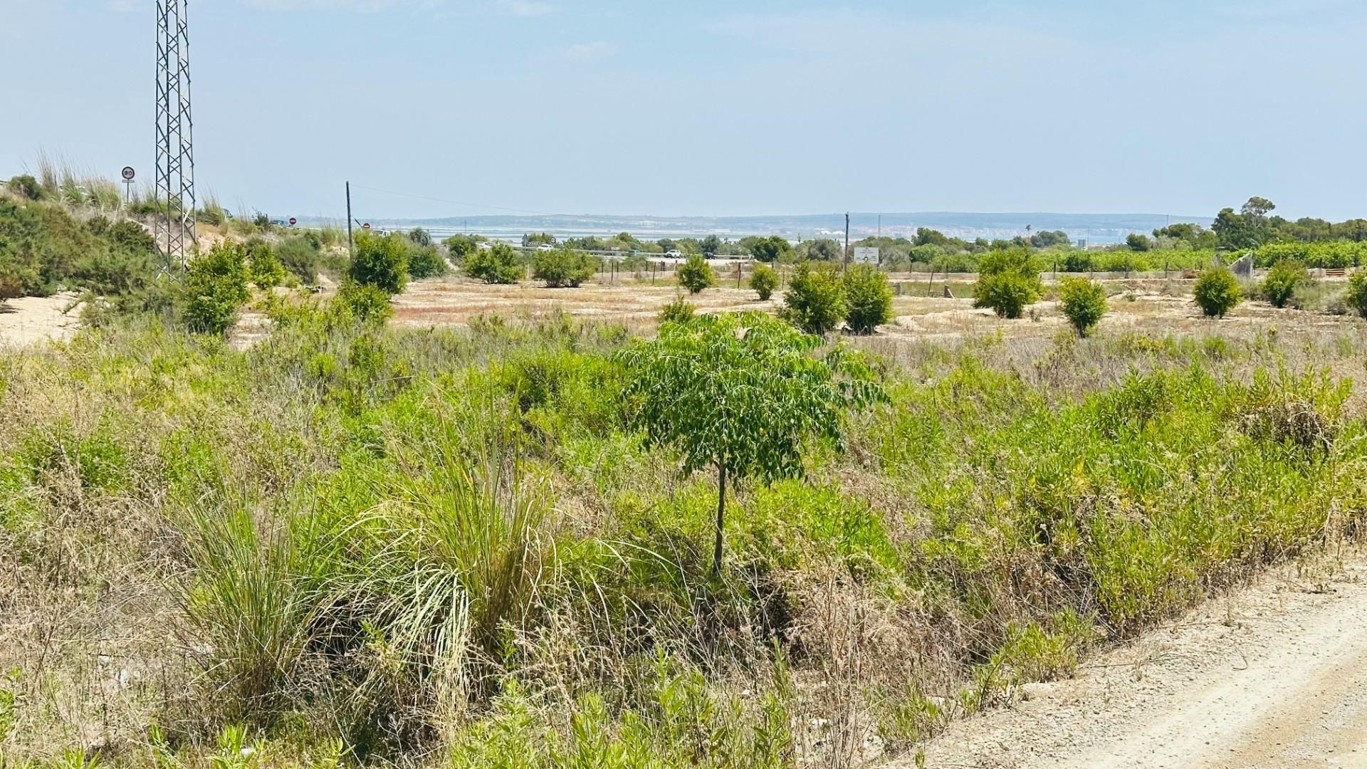 Land for sale in Elche / Elx