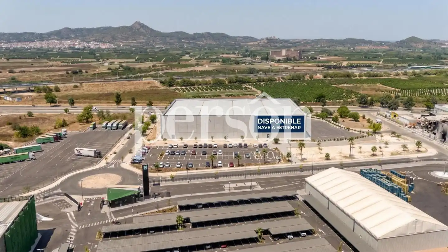 Nave industrial en alquiler en Calle Proyecto Mola, imagen 3