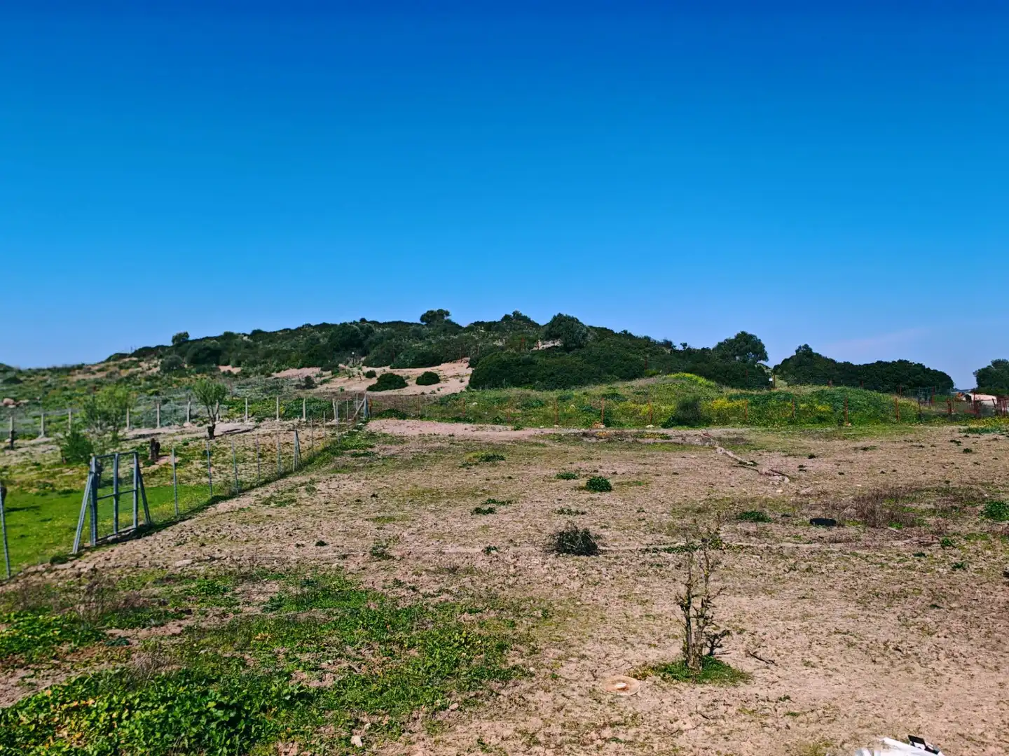 Casa o chalet en venta en Medina Sidonia con Jardín privado, Piscina y Amueblado