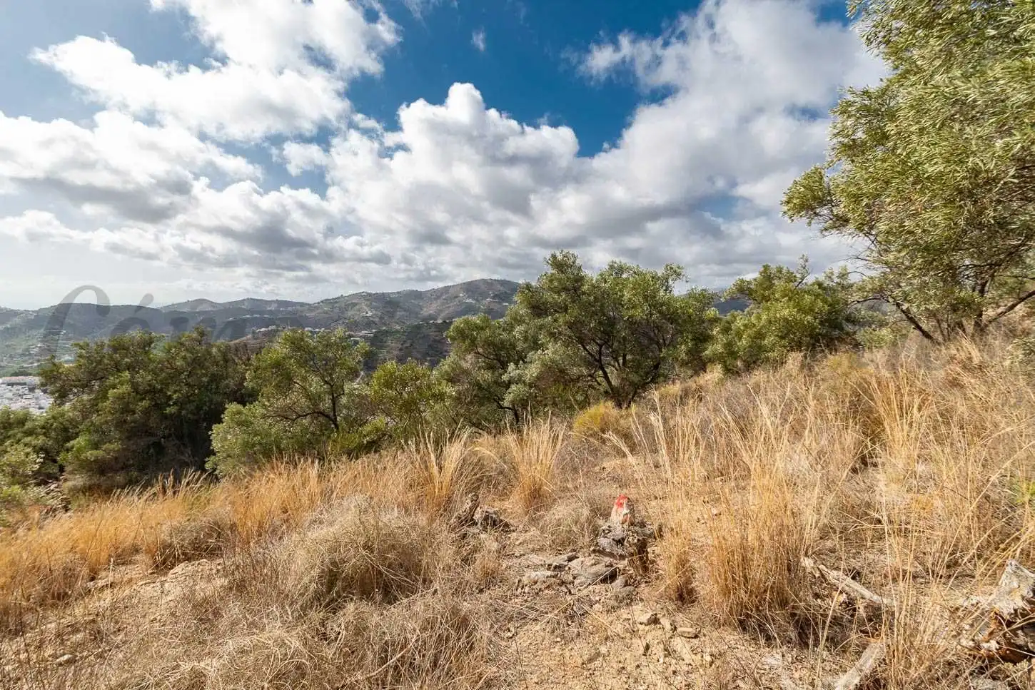 Terreno rústico en venta en Torrox Pueblo, imagen 15
