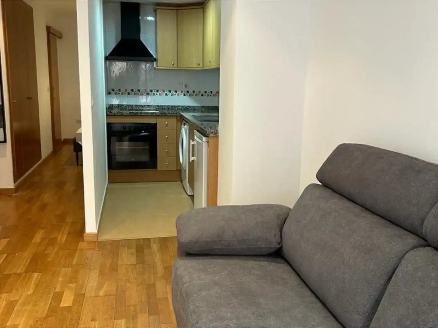 Sala d'estar de Apartament de lloguer en Castellón de la Plana / Castelló de la Plana amb Aire condicionat, Parquet i Traster