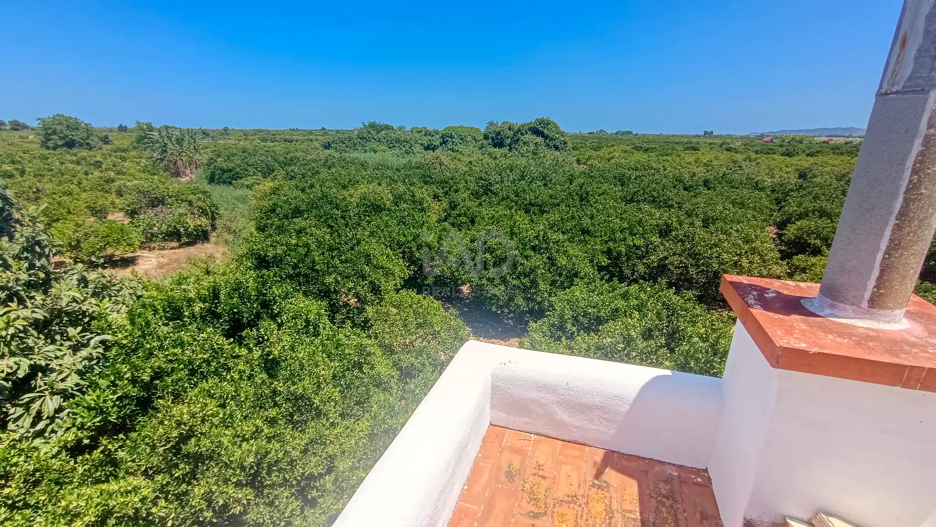 Casa o chalet en venta en Albalat de la Ribera con Calefacción y Terraza