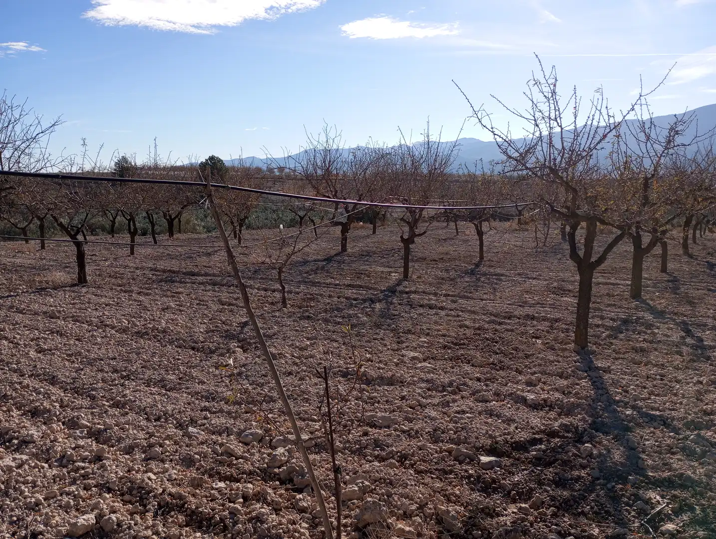 Casa o chalet en venta en Purchena con Amueblado