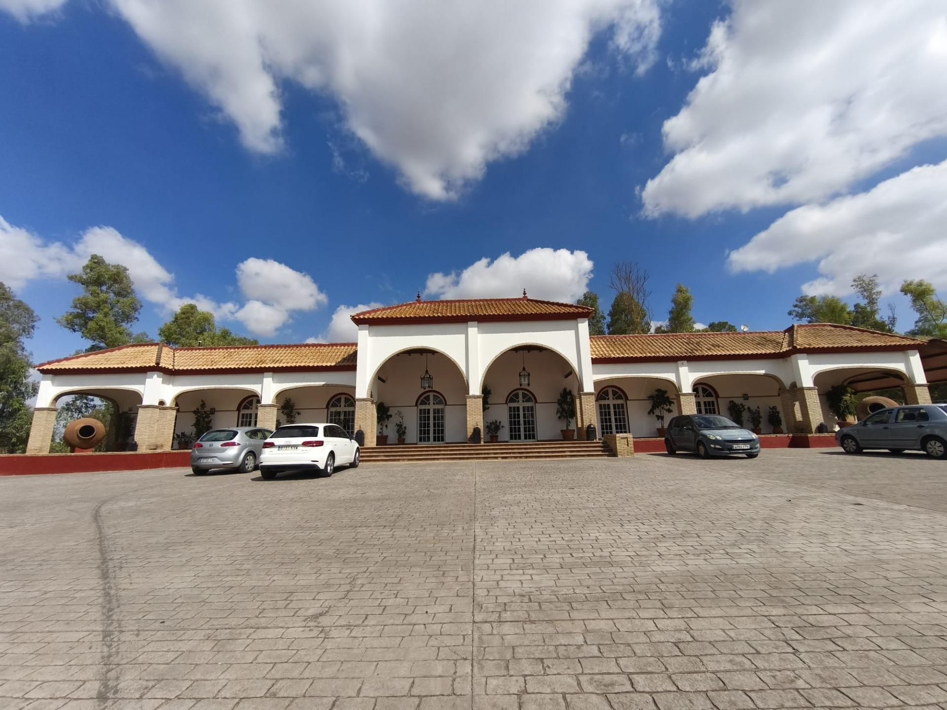 Exterior view of Country house for sale in Alcalá de Guadaira  with Air Conditioner, Heating and Private garden
