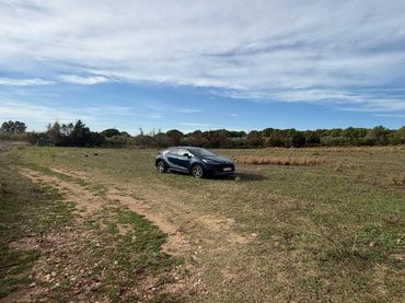 Lands and plots for sale in TORRE DEL VIENTO