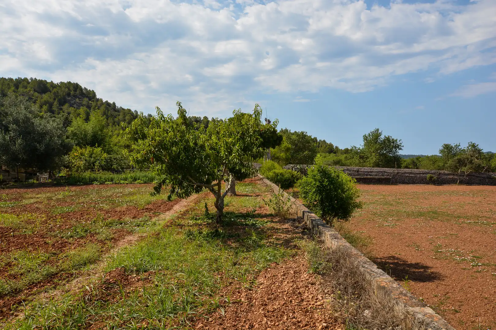 Maison rustique avec piscine à vendre à Artà Poble, imagen 2