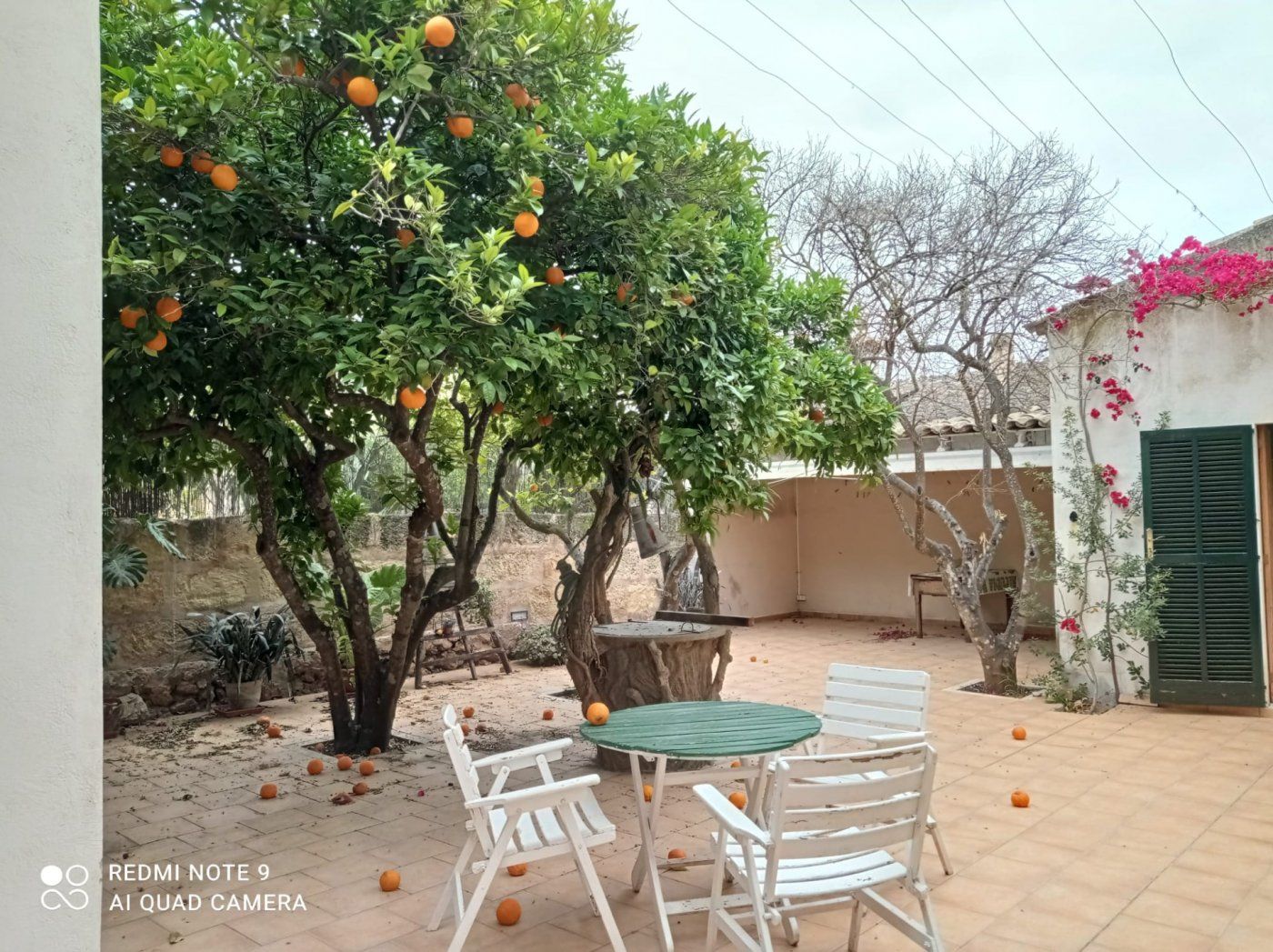 Jardín de Finca rústica de alquiler en Costitx con Aire acondicionado y Terraza