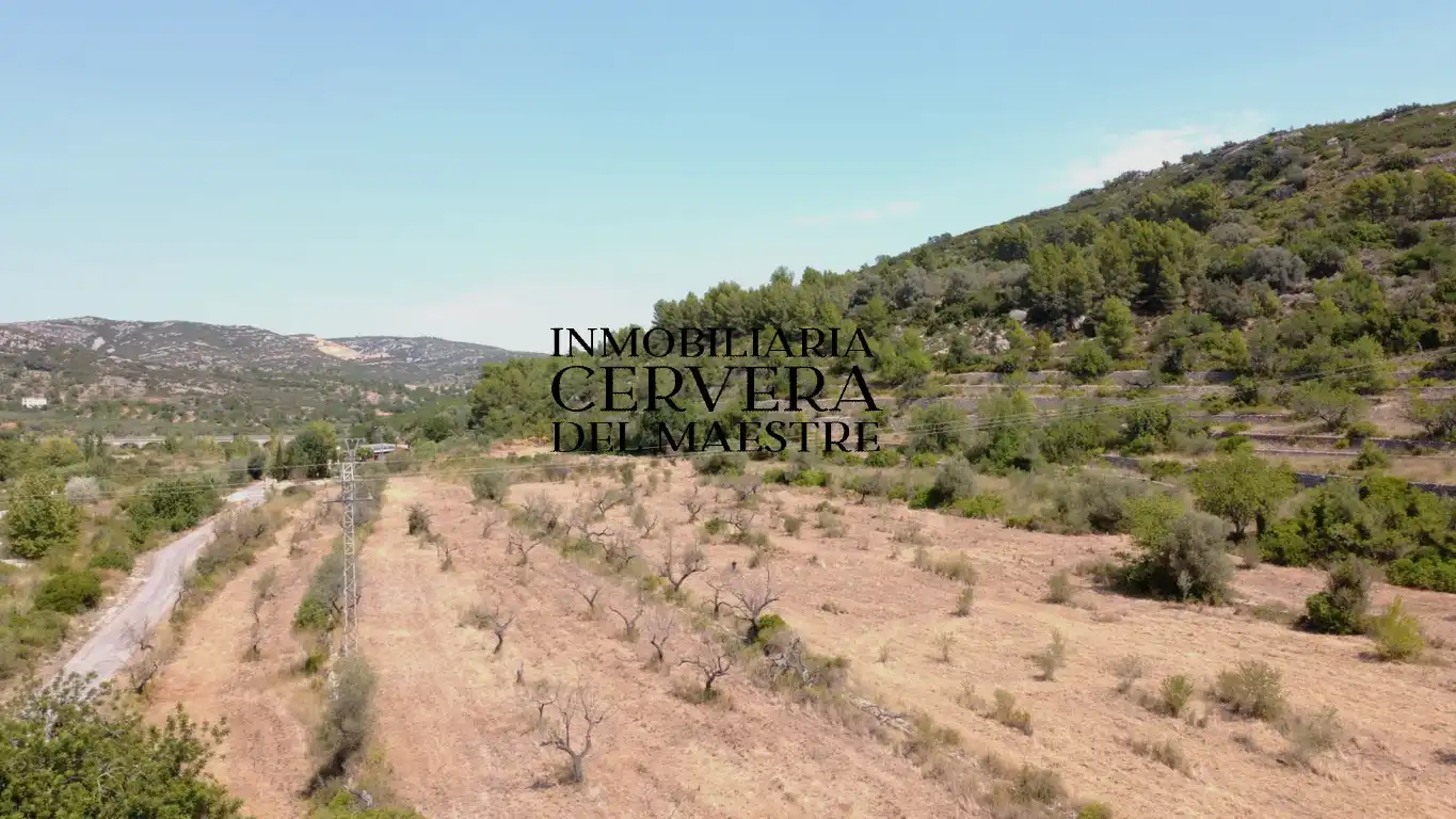 Terreno rustico in vendita a Cervera del Maestre, imagen 8