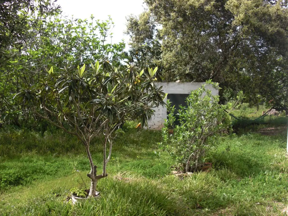 Casa rústica en venda a Vejer, imagen 8