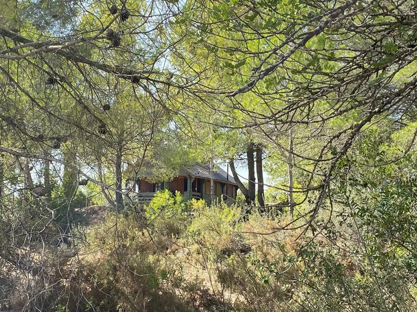 Country homes for sale in Chella