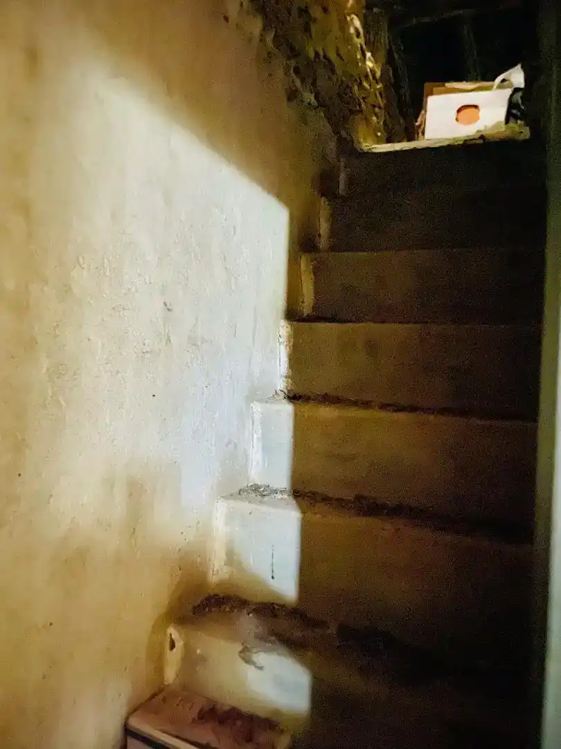 Planta baja en venta en Navahondilla
