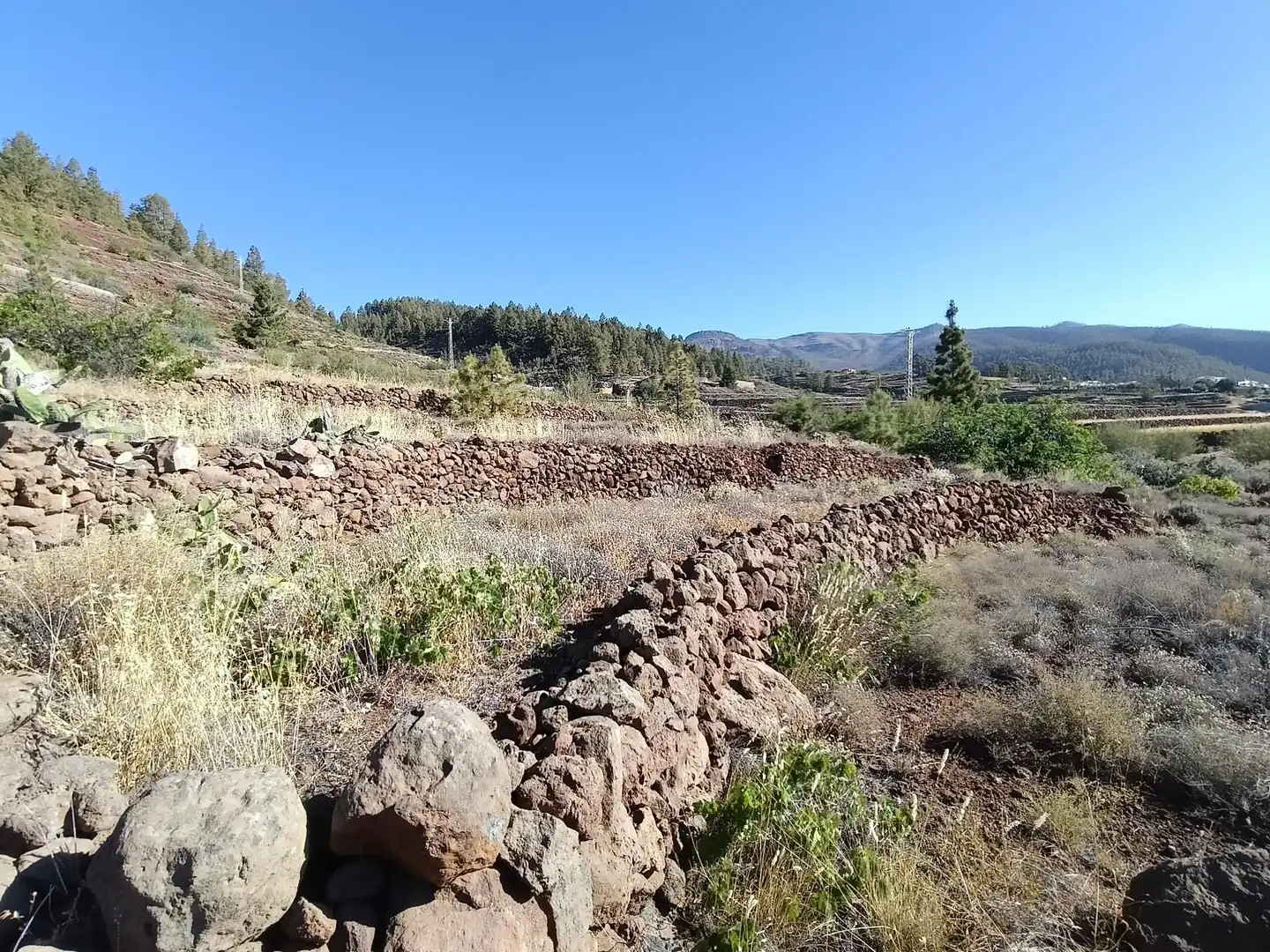 Terreno rústico en venta en M\A LIRIOS. VILAFLOR DE CHASNA [S.C. TENERIFE]