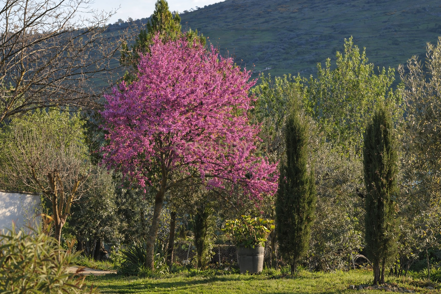 Garden of House or chalet for sale in Zafra  with Private garden, Storage room and Swimming Pool