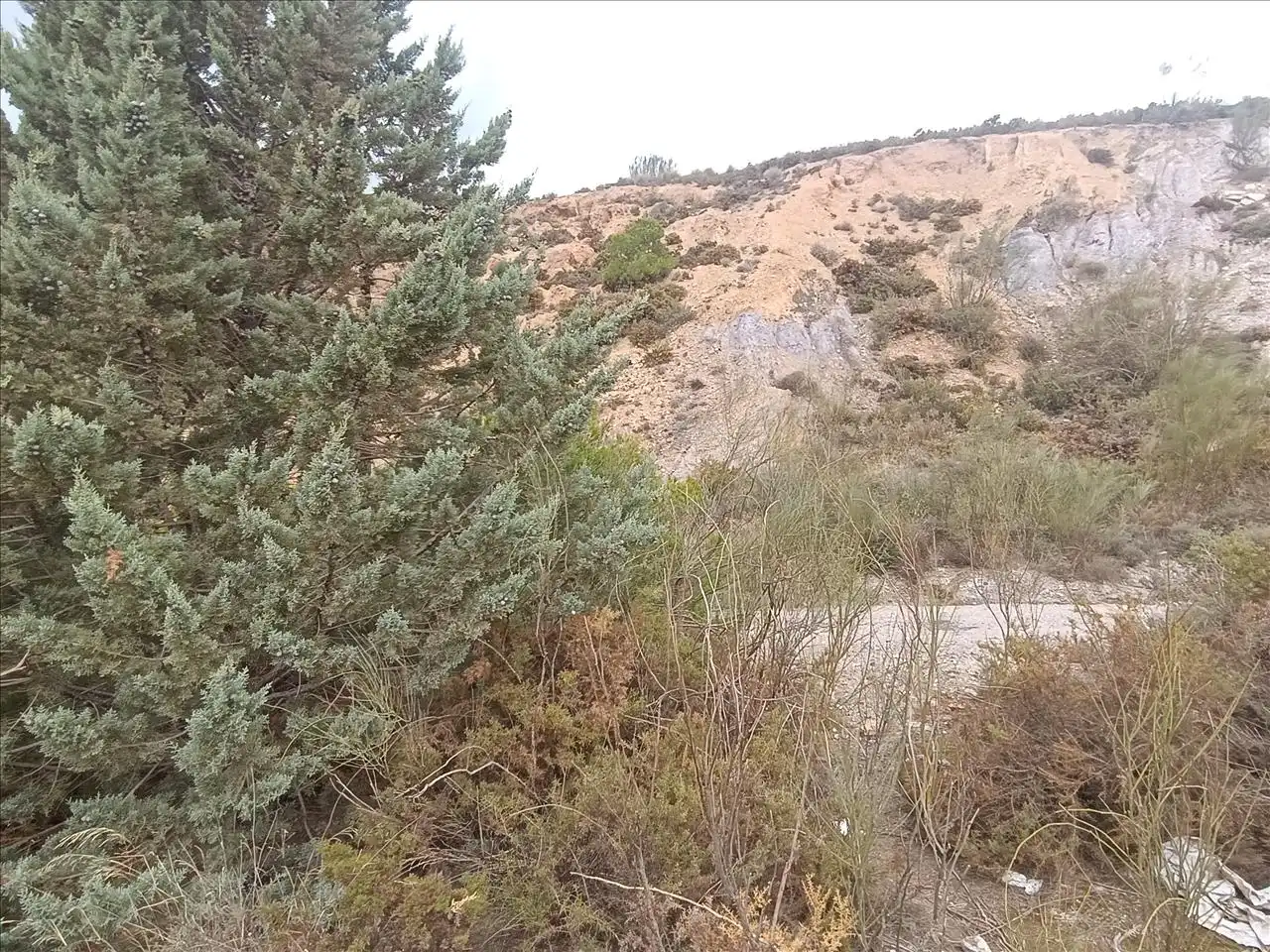 Terreno en venta en Carataunas