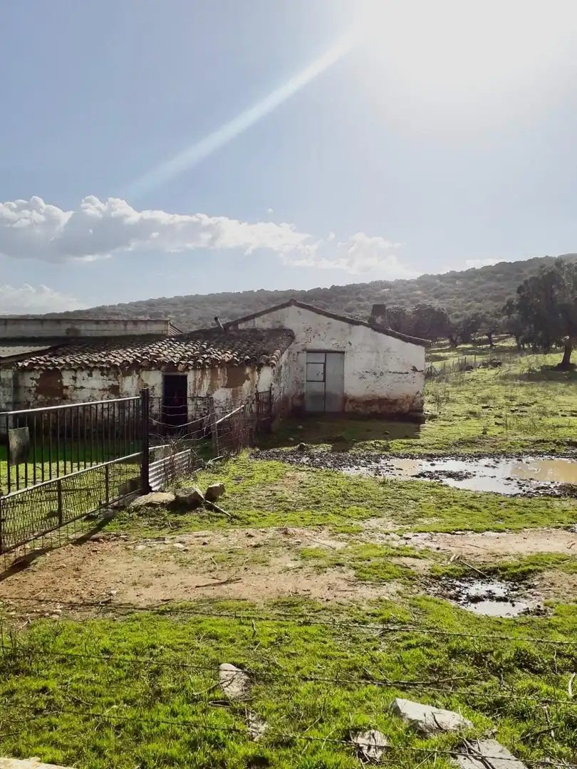 Rural land for sale in Fuente Obejuna, imagen 4