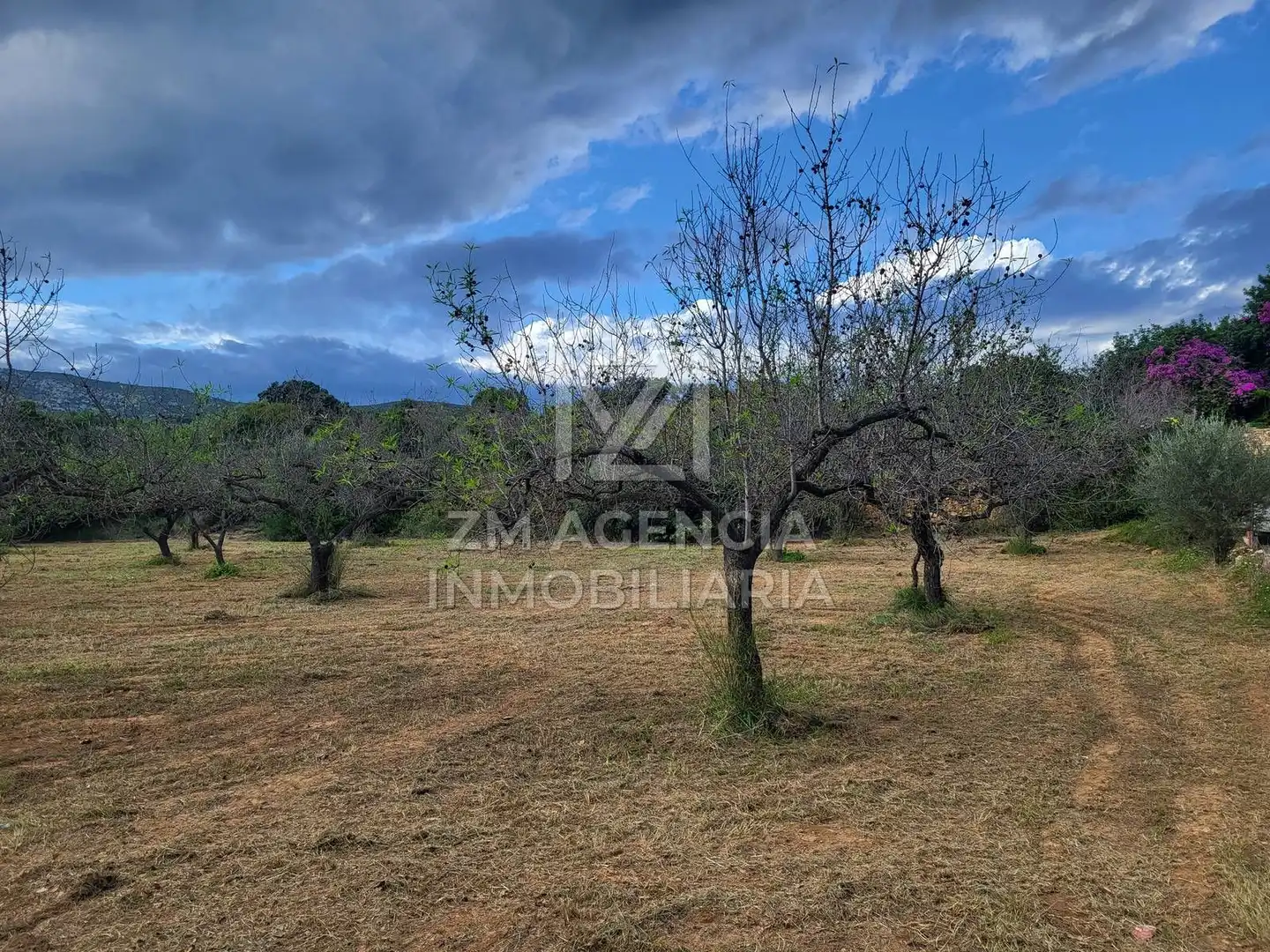 Terreno rustico in vendita a Traiguera, imagen 2